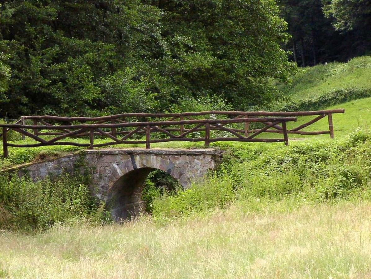 Schoenblick - Gemuetlich Uebernachten! Ober-Hambach Ngoại thất bức ảnh